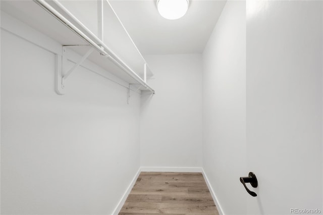 2800 Kalmia Ave Unit C101, Boulder, CO 80301 - photo 20