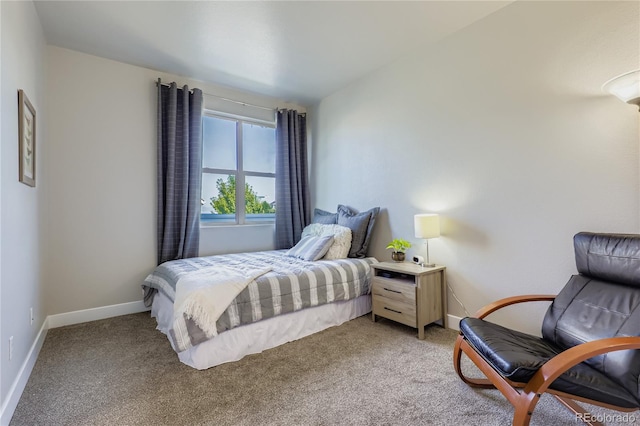 4947 Tamarac St, Denver, CO 80238 - photo 19