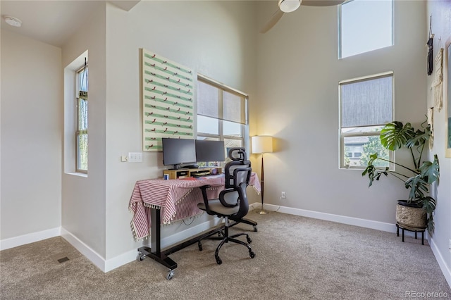 4947 Tamarac St, Denver, CO 80238 - photo 21
