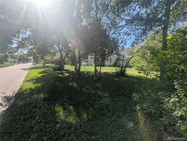 1591 Quince St, Denver, CO 80220 - photo 2