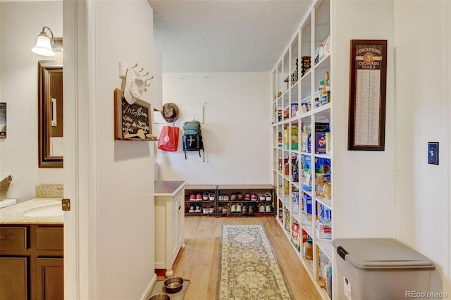 8680 Apache Plume Dr, Parker, CO 80134 - view of storage area