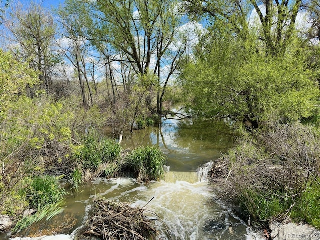 8680 Apache Plume Dr, Parker, CO 80134 - water view