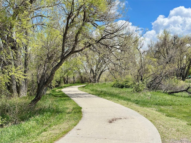 8680 Apache Plume Dr, Parker, CO 80134 - view of community featuring driveway and a forest view