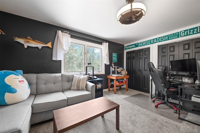 50 Victoria Rd, Pine, CO 80470 - office area featuring carpet floors