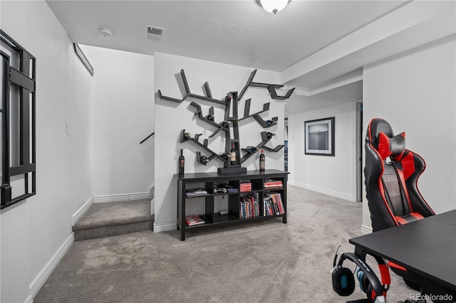 50 Victoria Rd, Pine, CO 80470 - exercise area with carpet flooring and baseboards