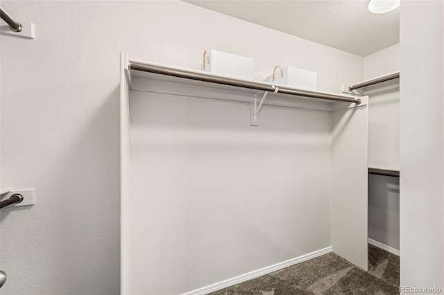 9869 Meridian Hills Trl, Peyton, CO 80831 - walk in closet with carpet floors