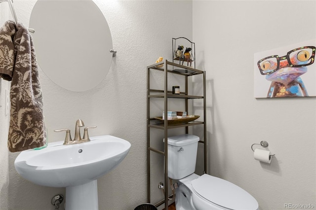 132 Ambrose St, Erie, CO 80516 - photo 11