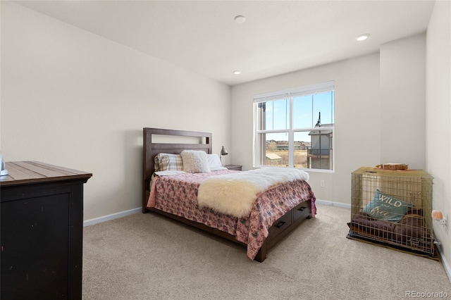 132 Ambrose St, Erie, CO 80516 - photo 13