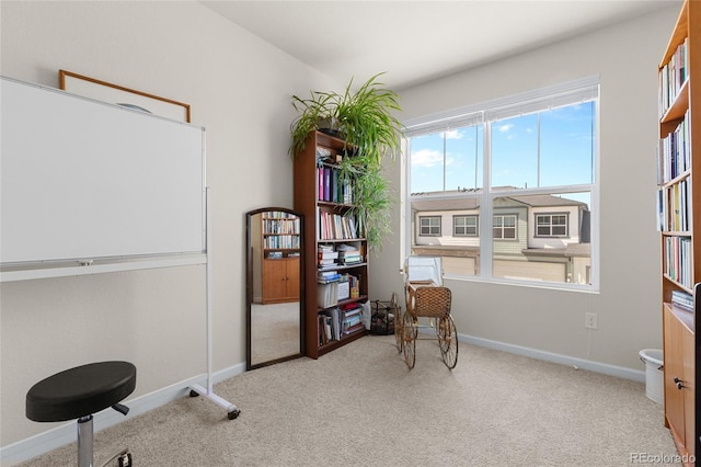 132 Ambrose St, Erie, CO 80516 - photo 19
