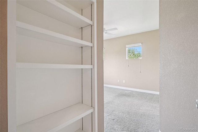12921 Grant Cir Unit B, Thornton, CO 80241 - corridor with carpet and baseboards