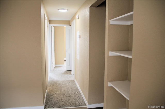 875 S Quebec St Unit 25, Denver, CO 80247 - hallway with a textured wall and carpet floors