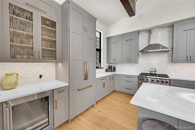 55 Blue Flag Dr, Breckenridge, CO 80424 - kitchen with wall chimney range hood, gray cabinetry, stainless steel appliances, light wood finished floors, and tasteful backsplash
