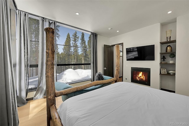 55 Blue Flag Dr, Breckenridge, CO 80424 - bedroom with a glass covered fireplace, wood finished floors, and recessed lighting