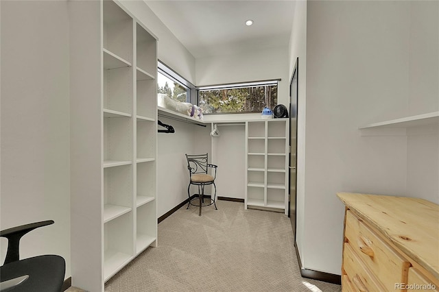 55 Blue Flag Dr, Breckenridge, CO 80424 - spacious closet with carpet flooring