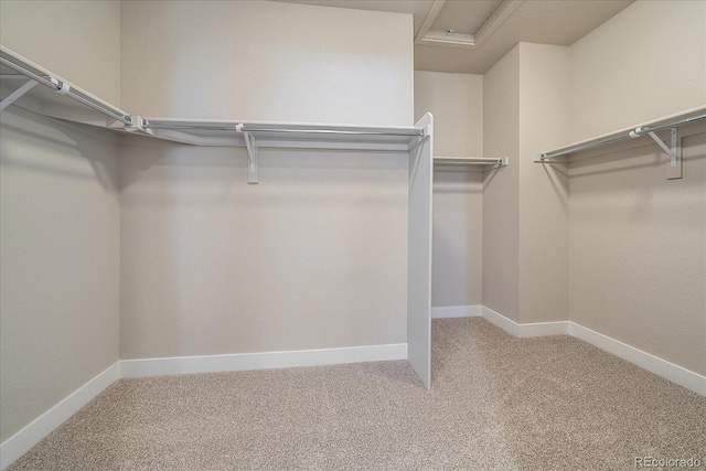 4880 River Landing Ave, Firestone, CO 80504 - photo 25
