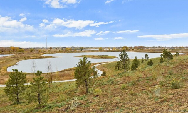 4880 River Landing Ave, Firestone, CO 80504 - photo 41