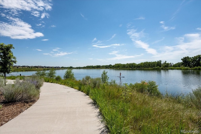 4880 River Landing Ave, Firestone, CO 80504 - photo 45