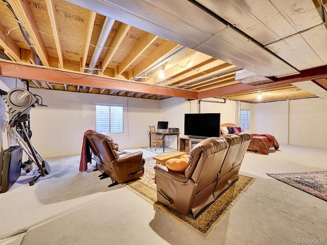 living room featuring carpet floors