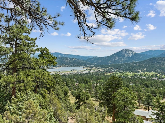 1141 Koral Ct, Estes Park, CO 80517 - mountain view featuring a forest