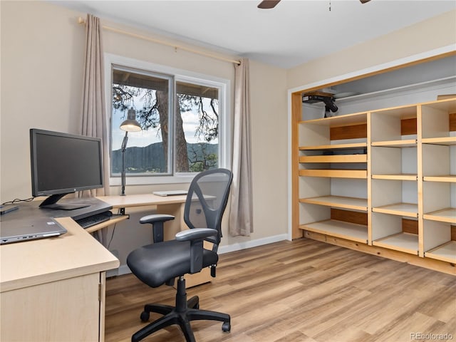 1141 Koral Ct, Estes Park, CO 80517 - office space featuring light wood-type flooring, ceiling fan, and baseboards