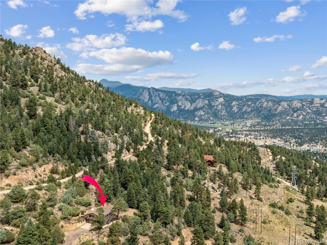 1141 Koral Ct, Estes Park, CO 80517 - mountain view featuring a heavily wooded area