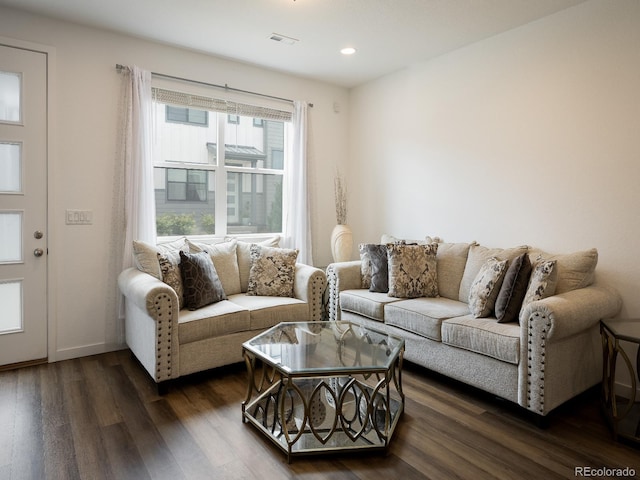 living room featuring dark wood-type flooring