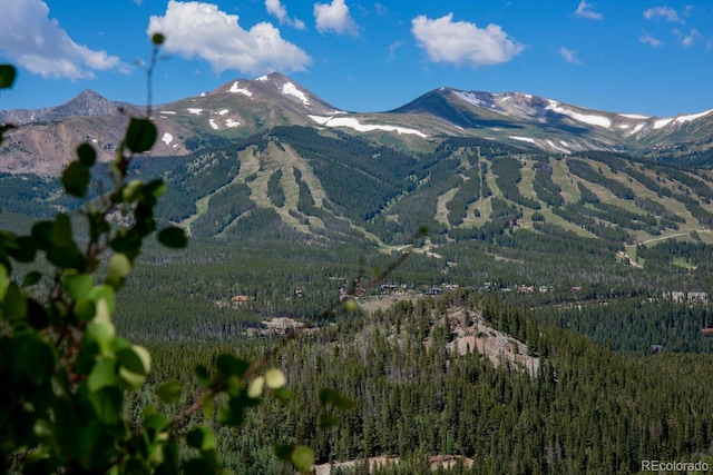 405 Four Oclock Rd Unit 15-A, Breckenridge, CO 80424 - view of mountain backdrop with a heavily wooded area