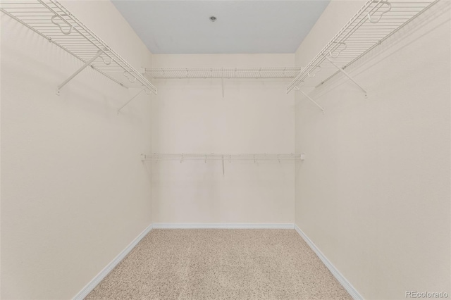 walk in closet with carpet