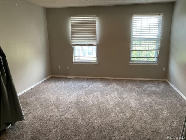 spare room with a textured ceiling, plenty of natural light, and carpet flooring