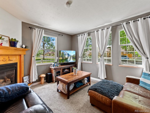 4540 Yarrow St, Wheat Ridge, CO 80033 - carpeted living area with a glass covered fireplace and baseboards