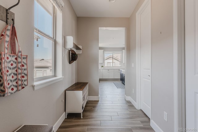 16383 Ute Peak Way, Broomfield, CO 80023 - hall featuring wood finish floors and baseboards