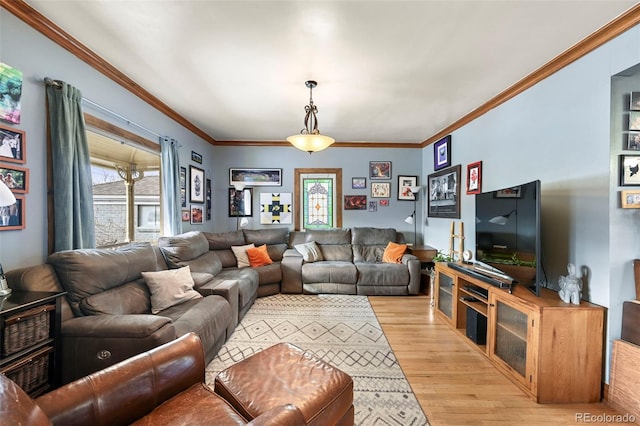 living room with ornamental molding and light hardwood / wood-style floors