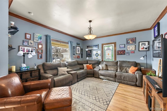 living room with crown molding and wood-type flooring