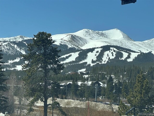 214 N Main St Unit 14, Breckenridge, CO 80424 - view of mountain backdrop featuring a forest