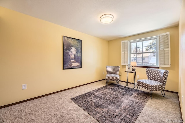 living area featuring carpet flooring