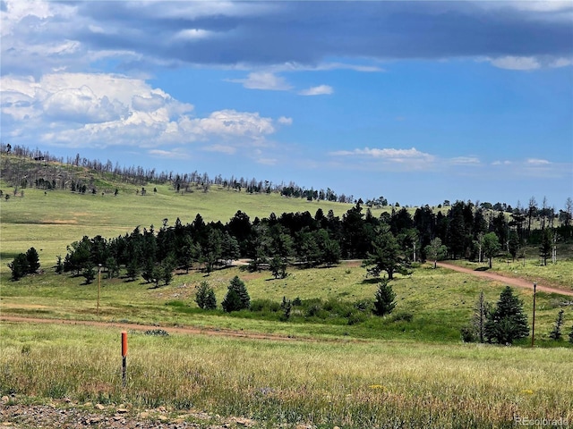 LOT2057 Forbes Park Rd, Fort Garland, CO 81133 - photo 2