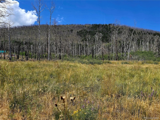 LOT2057 Forbes Park Rd, Fort Garland, CO 81133 - photo 5