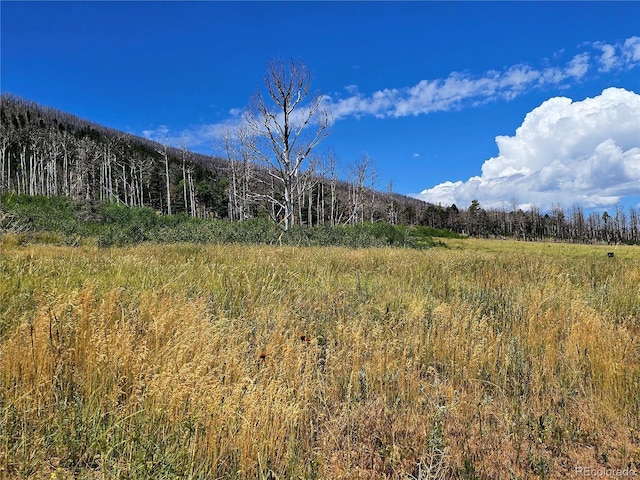 LOT2057 Forbes Park Rd, Fort Garland, CO 81133 - photo 8
