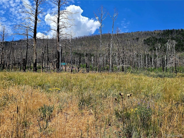 LOT2057 Forbes Park Rd, Fort Garland, CO 81133 - photo 9