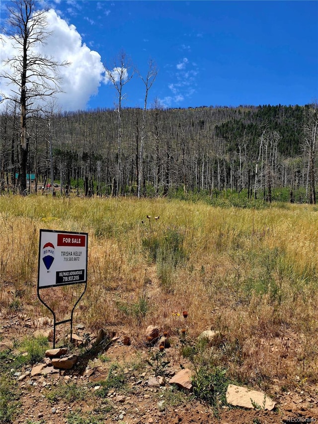 LOT2057 Forbes Park Rd, Fort Garland, CO 81133 - photo 11