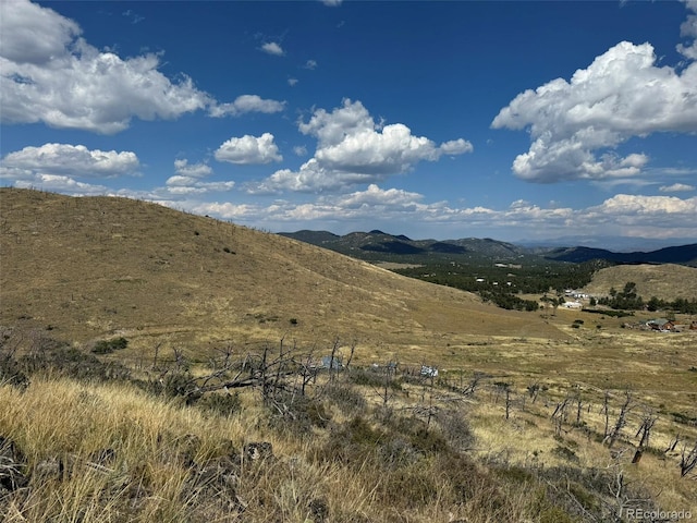 Listing photo 2 for 0 25th Trl, Cotopaxi CO 81223