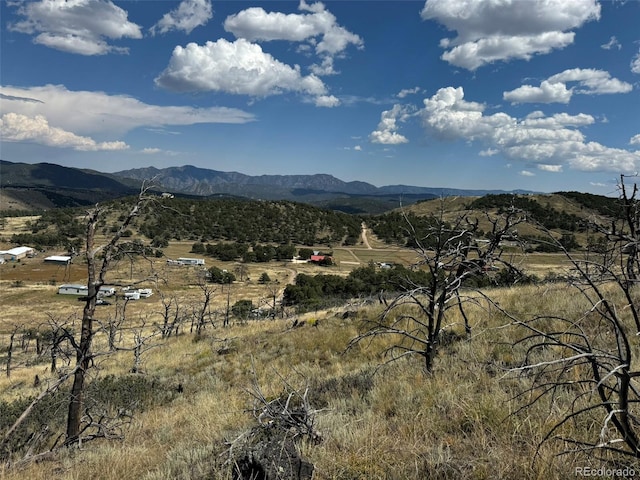 Listing photo 3 for 0 25th Trl, Cotopaxi CO 81223