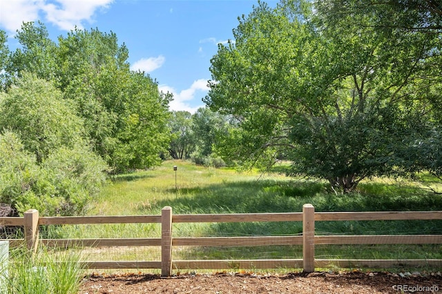 11802 Meadowood Ln, Parker, CO 80138 - photo 30