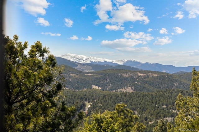 mountain view with a heavily wooded area