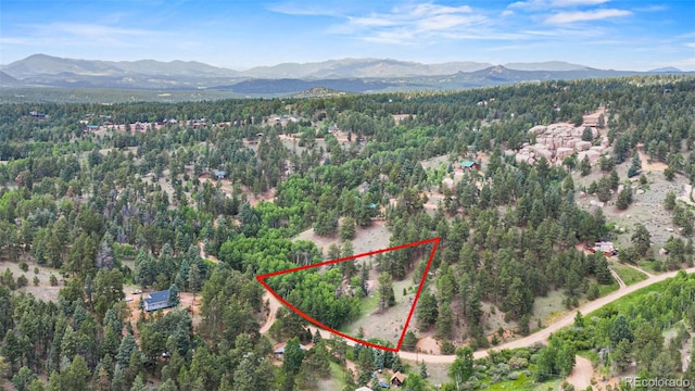 540 Pinon Ln, Florissant CO, 80816 land for sale