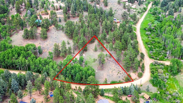 Listing photo 3 for 540 Pinon Ln, Florissant CO 80816