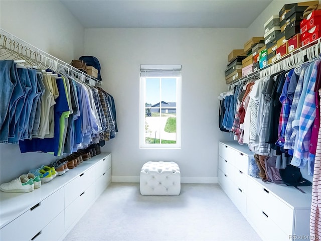 spacious closet featuring carpet flooring