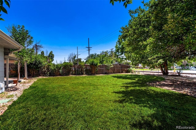 1309 Martin St, Longmont, CO 80504 - photo 26