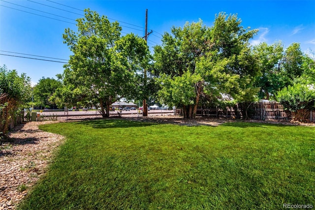 1309 Martin St, Longmont, CO 80504 - photo 27