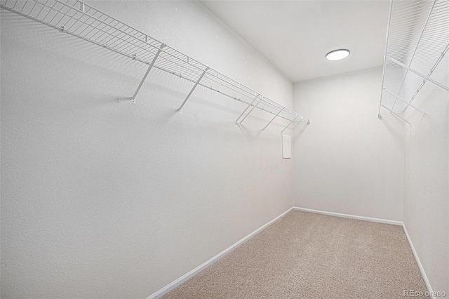 12710 Jasmine St Unit C, Thornton, CO 80602 - spacious closet with carpet floors